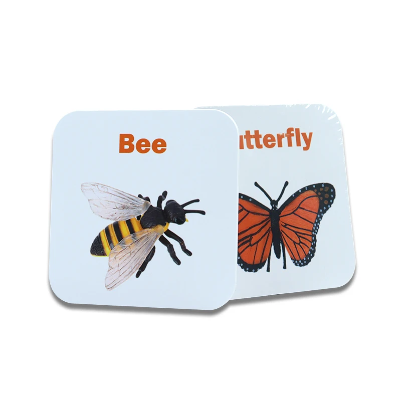 Customized Printed Flash Cards Full Color Learning Card Kids Manufacture Pattern English Learning Cards Phonic Flashcards