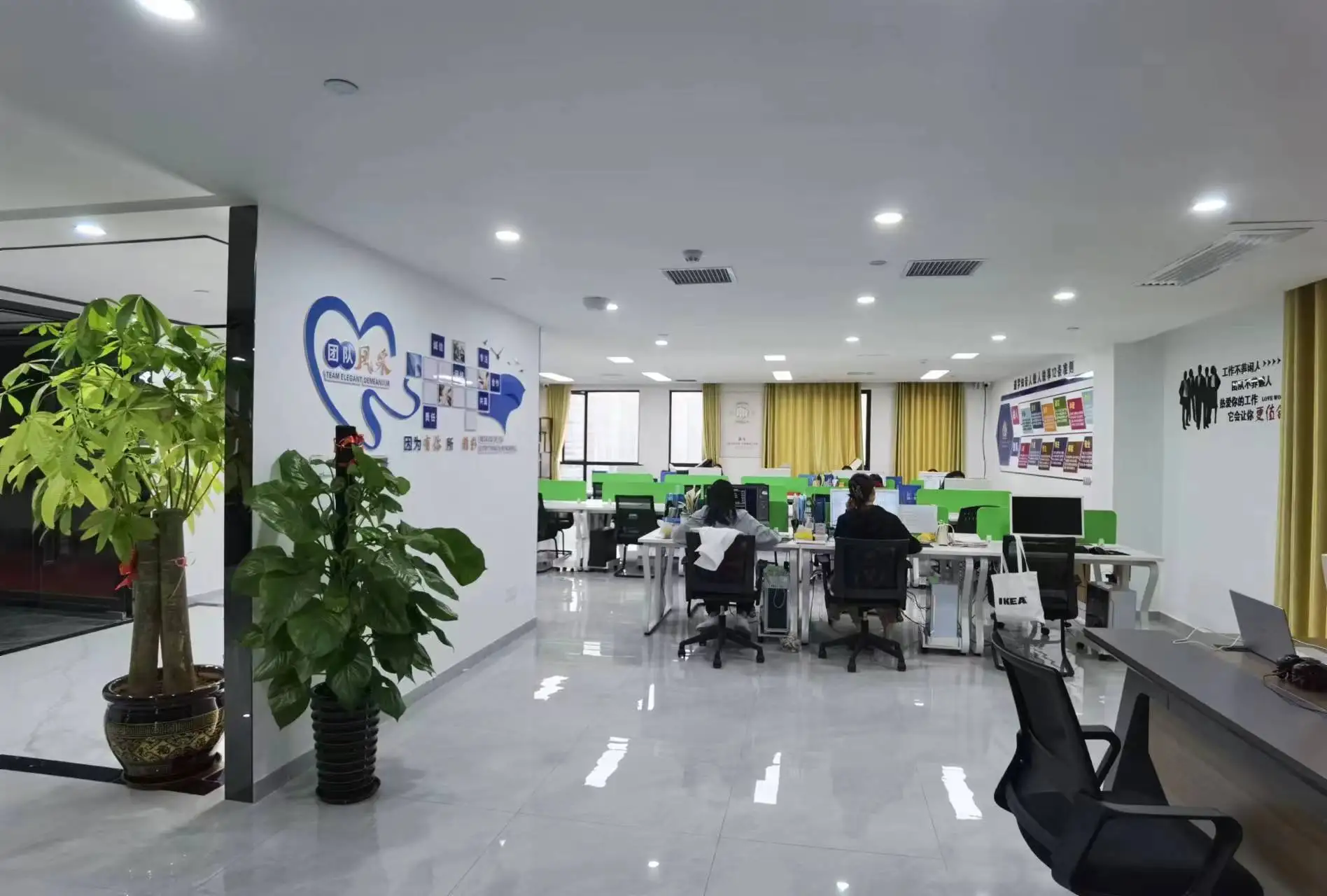 Guangxi Taisilai Technology Co., Ltd. 2