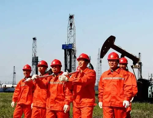 ESP Cable protector cross coupling electrical cable sleeve oil tubing for oilfield Downhole Mid-Joint