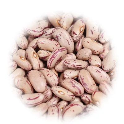 long shape light speckled kidney beans for hot sale