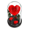#5 Red Heart shape