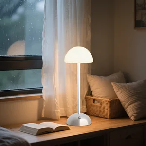 USB Rechargeable LED Light Table Lamp for Bedroom Decor Touch Dimmable with Remote Control Ambient Ambient Light AC Power Supply