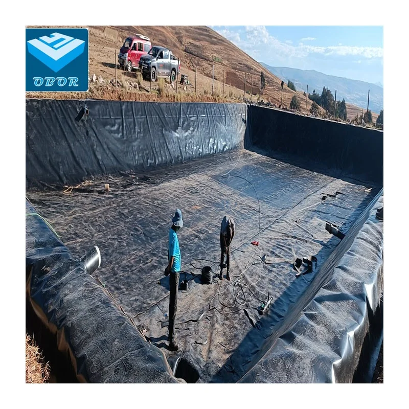 Factory Price OBOR HDPE Geomembrane  0.5mm 0.75mm 1mm Waterproof Geomembranas Dam Pond Liner
