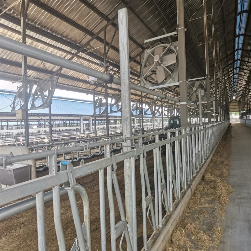 4 Positions 3 Meters Automatic Steel Cow Calf Headlock Dairy Cattle Breeding Equipment Ox Frame Accessories New Livestock Panel