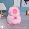 Large Pink Apple