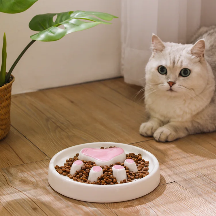 ceramic slow feeder cat bowl