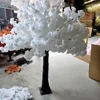 bianco 1