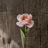 Rosa claro