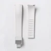 Fibbia in argento bianco