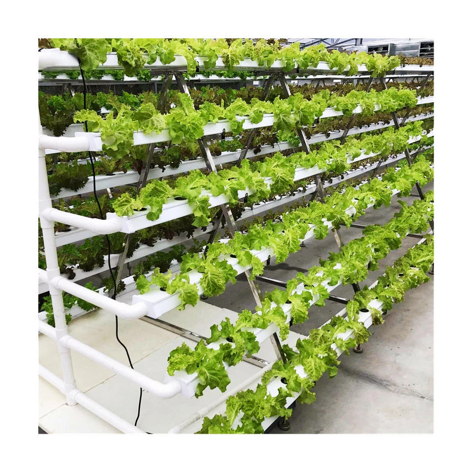 Customized Hydroponic Greenhouse Vertical Pvc Channel Hydroponic Nft Growing Systems For Farm