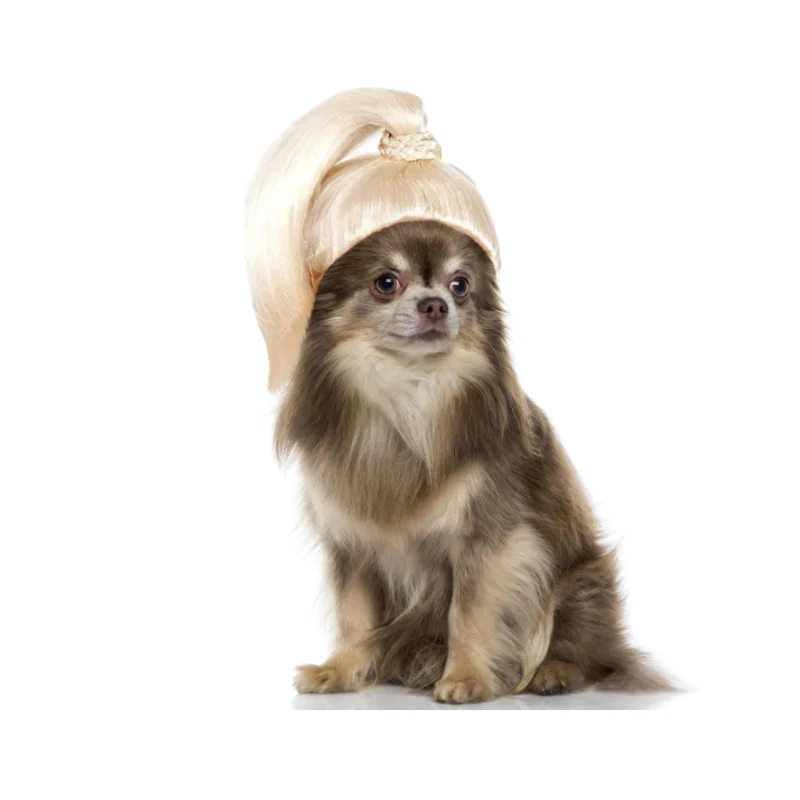 Image 3.png
