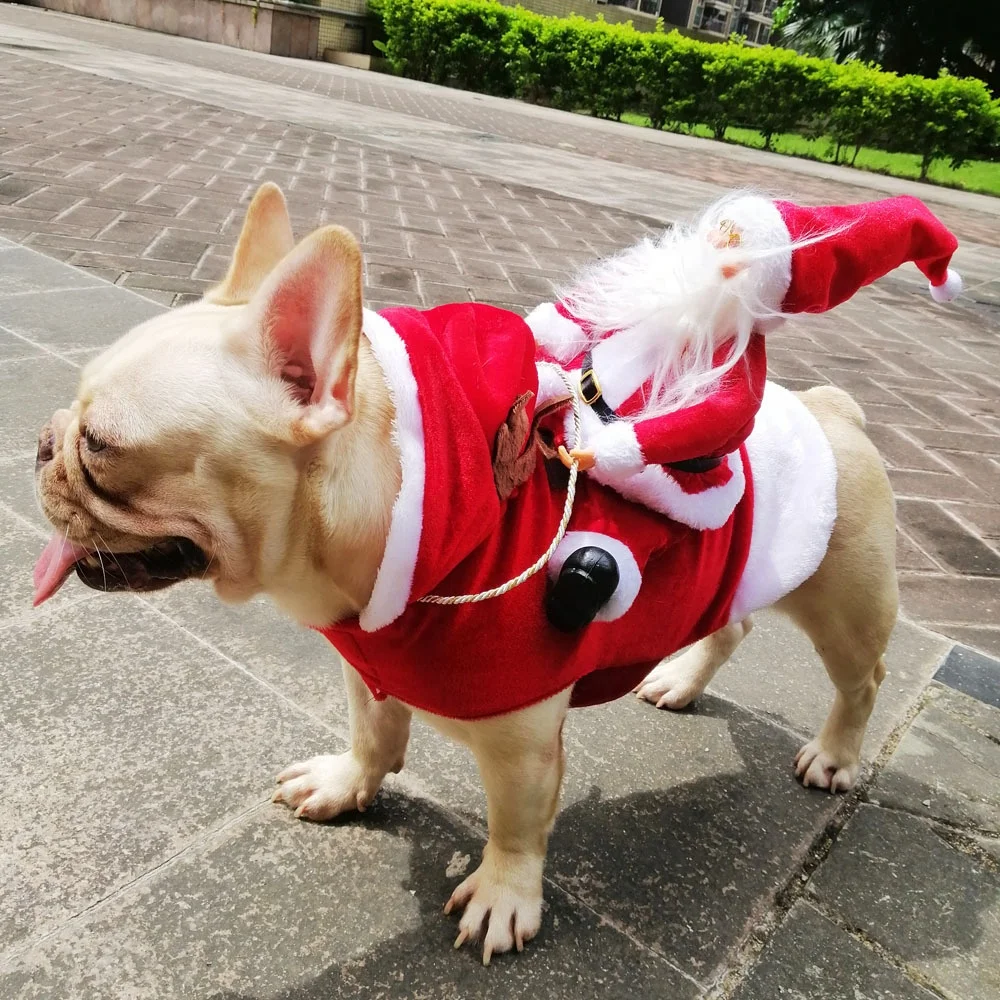 Funny dog clearance christmas costumes