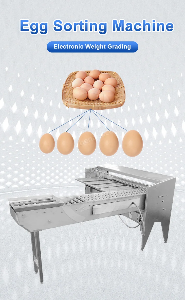 Efficient Egg Grading Machine - Sort & Grade Eggs Easily