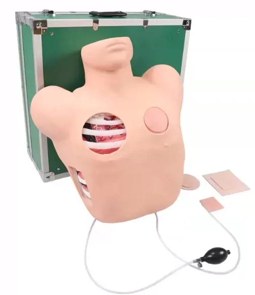 Human Pathological Anatomy Model Thoracic Pleural Drainage for Medical Science Teaching for Nurse Training and School Use
