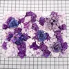 Viola