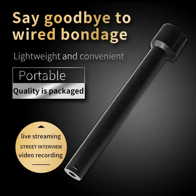 Senli Conference Handheld Condenser Mini Karaoke Speaker Portable Small Wireless Microphone With Microphone