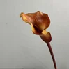 Vino Rojo