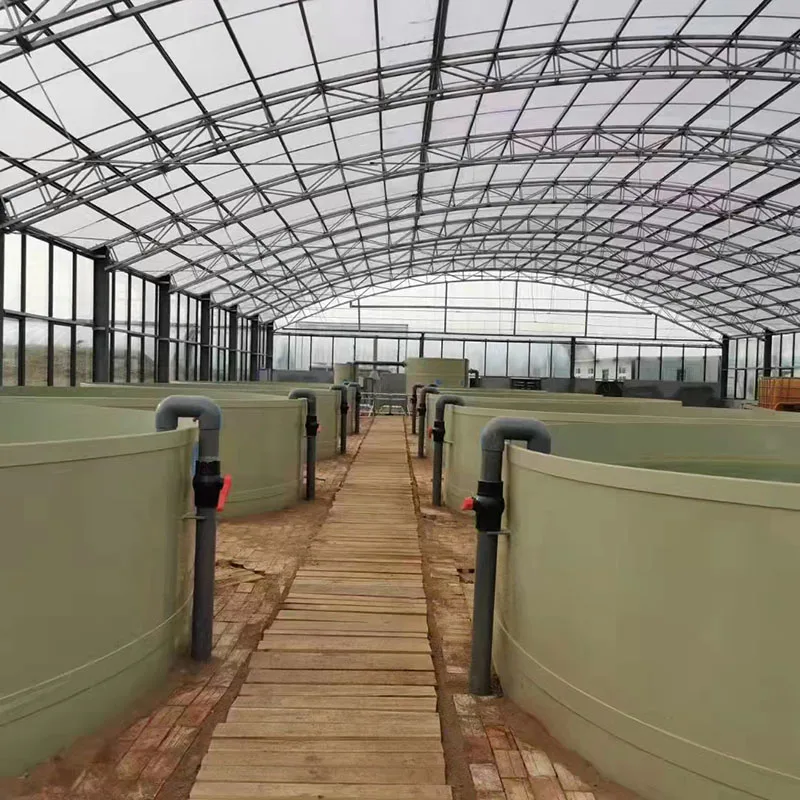 Automatic Fish Farm Filter System for High Density Fish Breeding