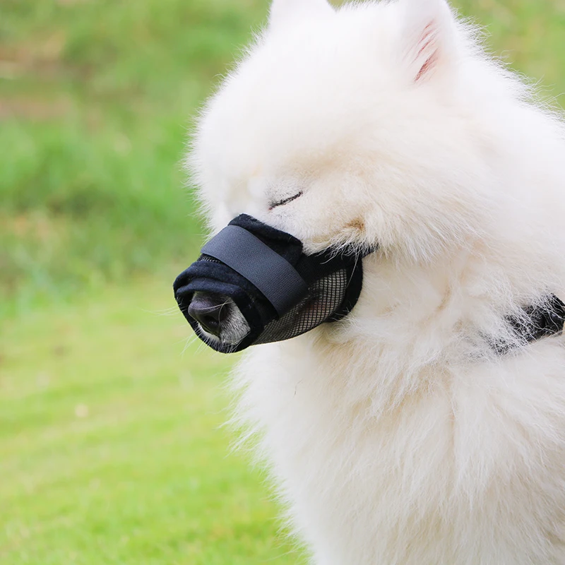 friendly dog muzzle
