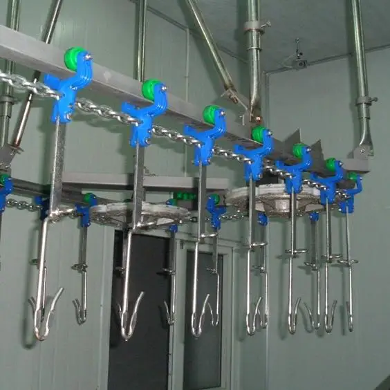 High-efficiency poultry slaughtering line, processing 1,000-3,000 poultry per hour