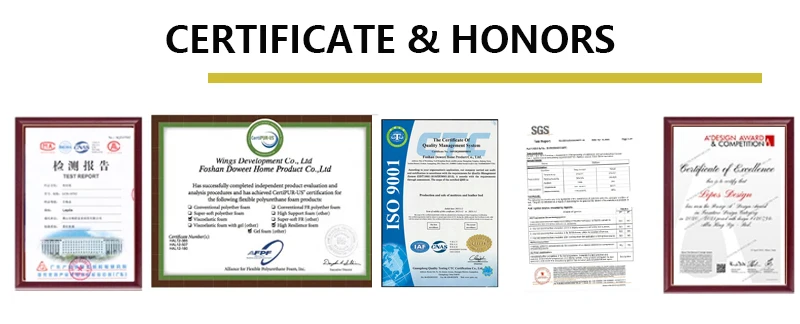 Certificate and honors.jpg