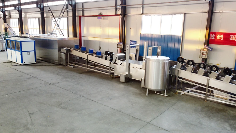 Automatic French Fries Processing Line manufacture