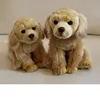 Labrador _ 26cm