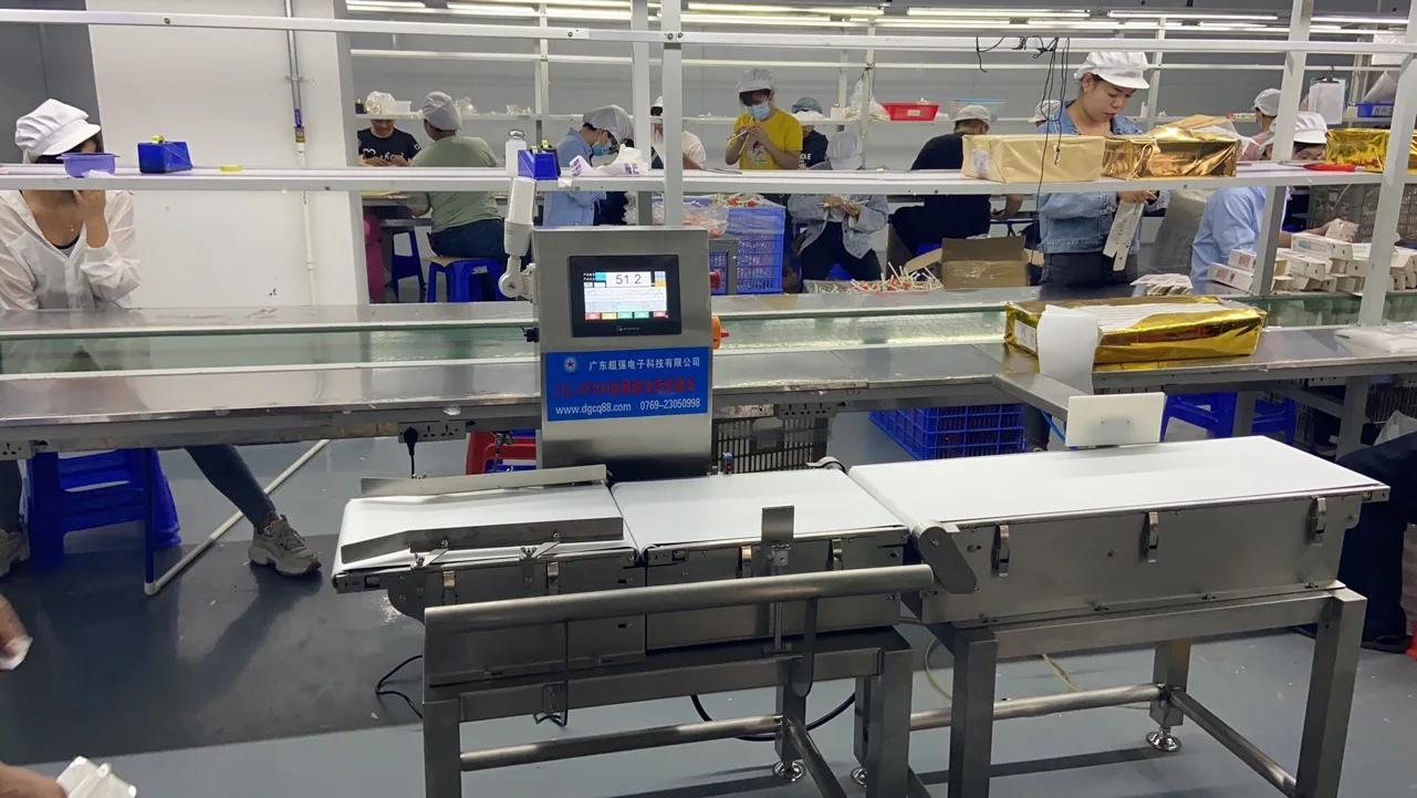 Fix Large Range Dynamic Checkweigher Carton Package Box Multi Check Weigher Weighing Check Machine with Conveyor and Reject