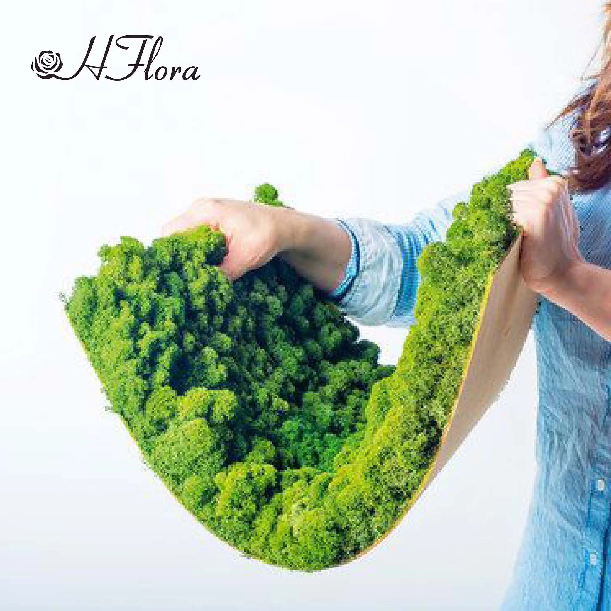 Hflora Preserved Moss Amazon Top Ecofriendly Wholesale Stabilized