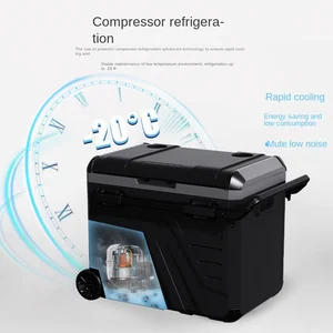 Large Capacity Car Home Outdoor Portable Small Freezer 12V24V Partition PP Material Manual Defrost