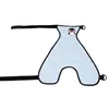Bleu (chien mâle)