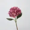 Hortensia de floración completa rosa roja y exuberante