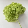 Verde chiaro