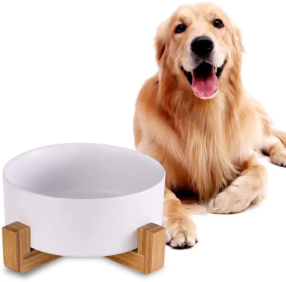 elevated cat food bowl vertical feeder ceramic bowl to prevent