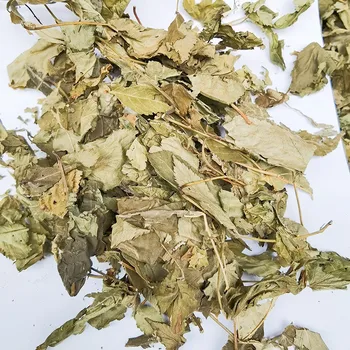 Wholesale natural organic Herbs Tea Pregnancy Tea dry red raspberry leaves tea