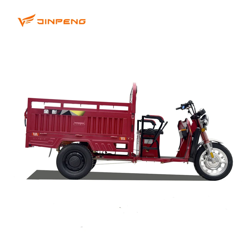 JINPENG March Promotions Open Body Velomobile Trike with Powerful 60v Electric Motor for Cargo Use