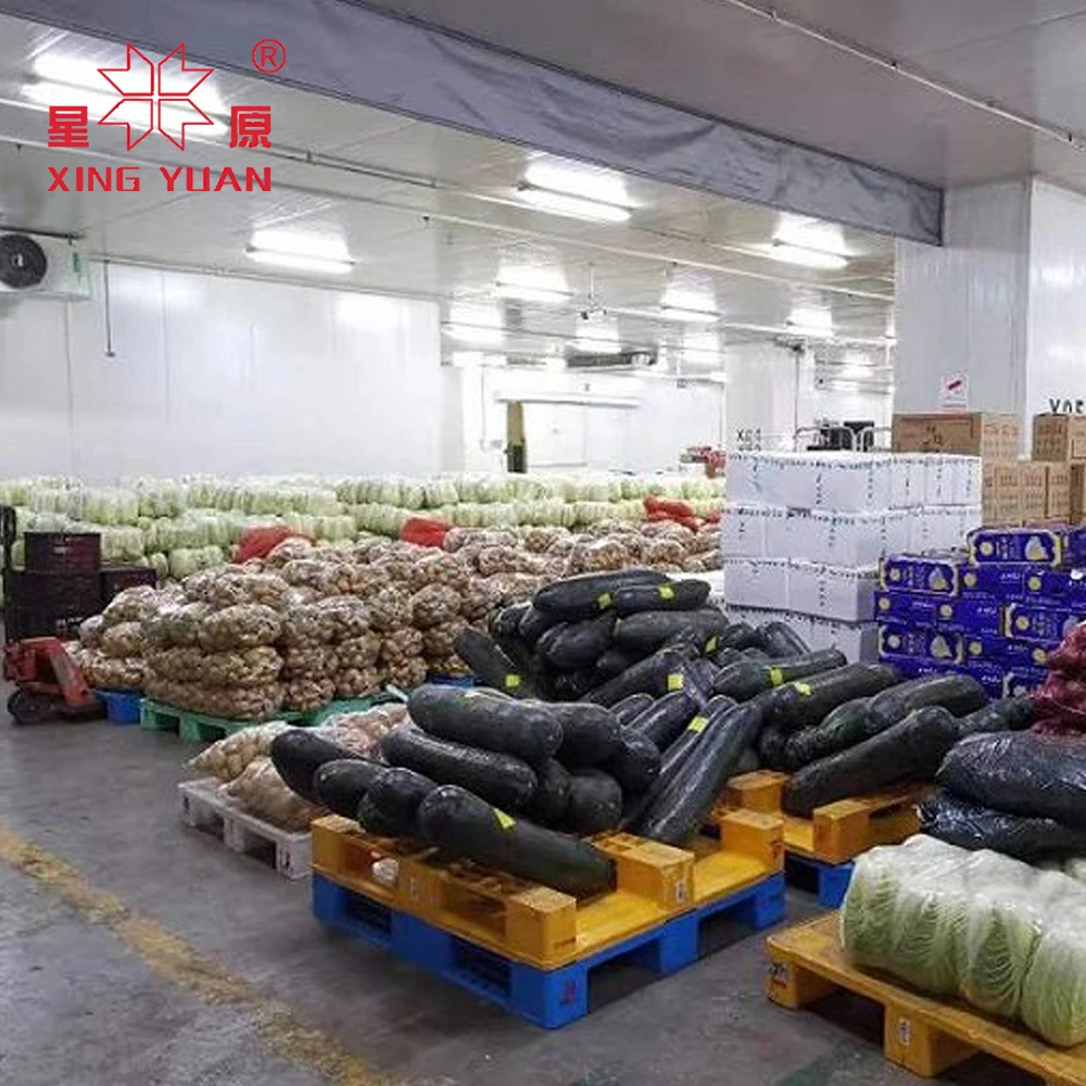 Cold Storage Room  Freezer Cold Room Manufacturer Cold Storage 1000 Ton Capacity