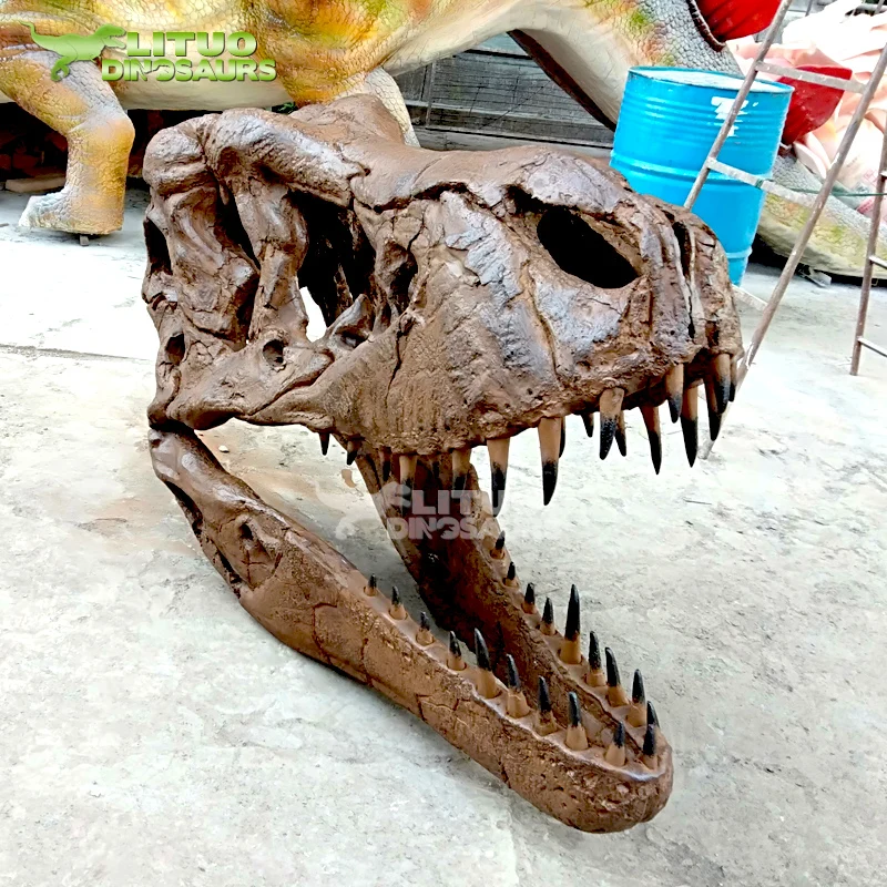 ダイナソーキング T-Rex 頭蓋骨レプリカ | 屋内外の装飾用デコレーション