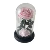 Cherry Blossom Powder (without Light and Gift Box)