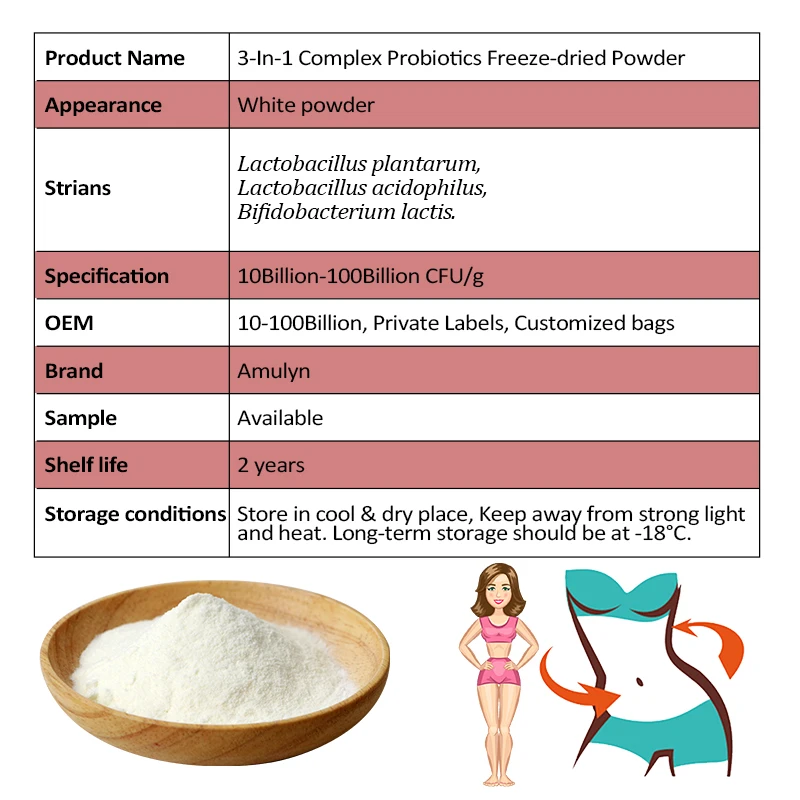 OEM Probiotic Supplement Blend Powder 3-in-1 Lactobacillus Plantarum Lactobacillus Acidophilus and Bifidobacterium Lactis
