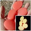 Arancione 1