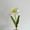 Un tulipán verde en flor