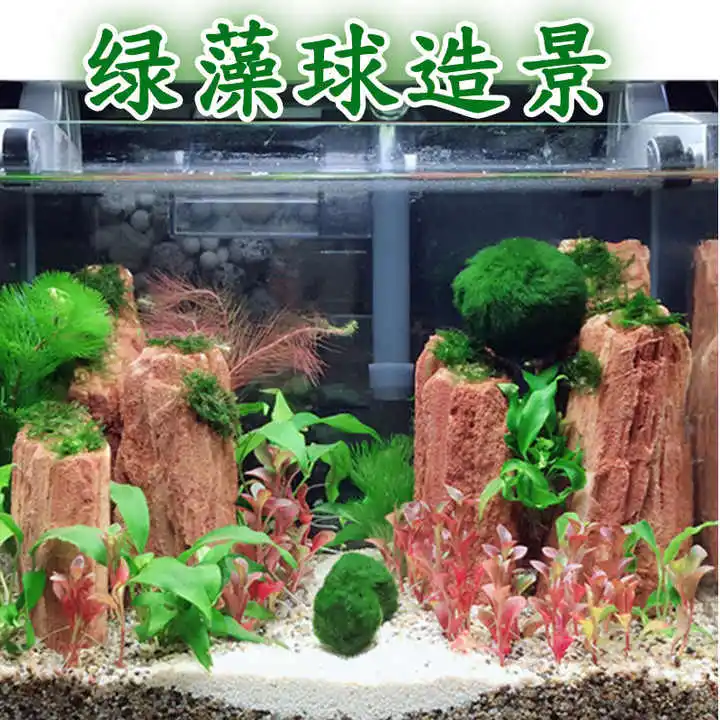 Moosblle Aquarium-Dekoration Pflanzen fr Aquatische Haustiere Dekorative  Knstliche Zimmerpflanzen Knstliche Moosblle