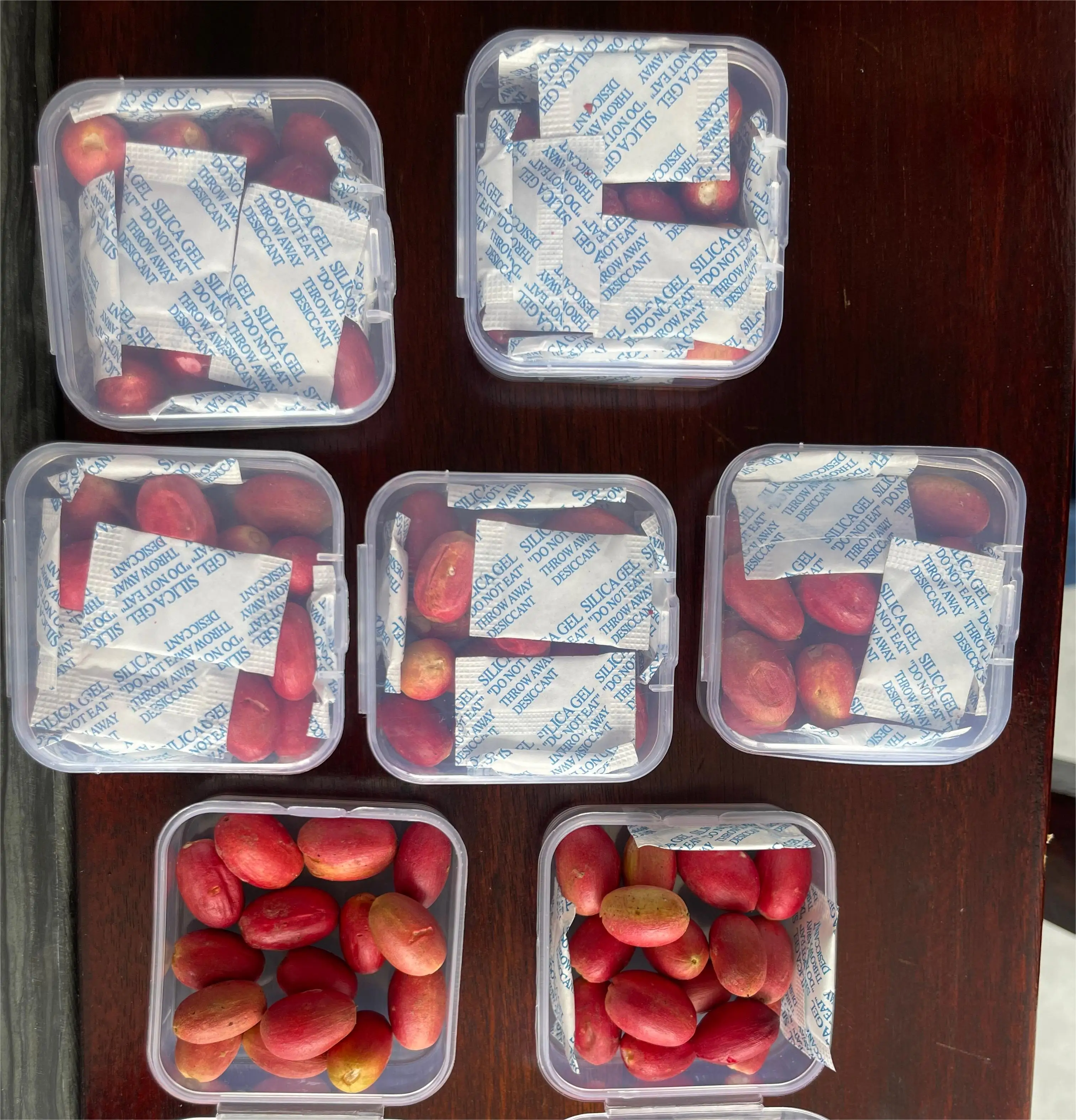 Wholesale Supplements  Dried Miracle Berry  Freeze Dried Miracle Fruit Berries with Customized Packing