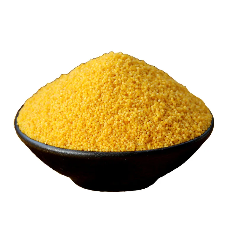 China Supplier Good Quality Protein-Rich Yellow Hulled Millet for Sale