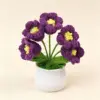 Lys violet foncé (5 têtes) petite plante en pot