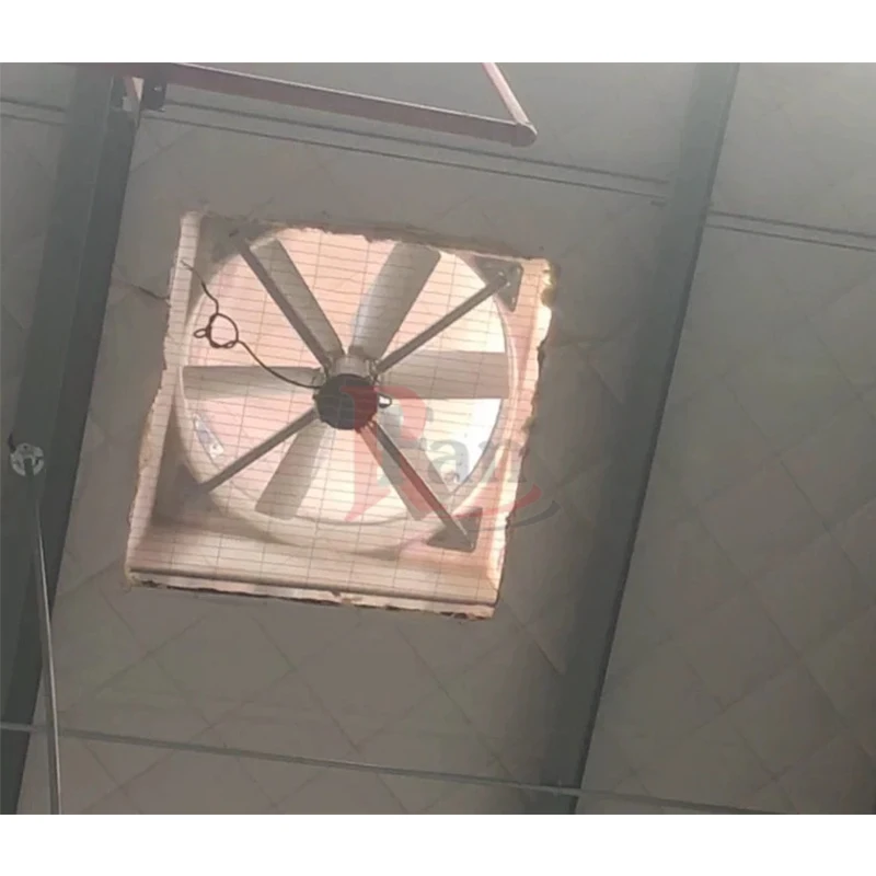 3 Phase Electric Power Roof Fan Factory Roof Mount Heat Extractor Fiberglass Roof Ventilation Fan for Warehouse Plant