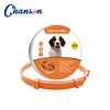 Orange Dog
