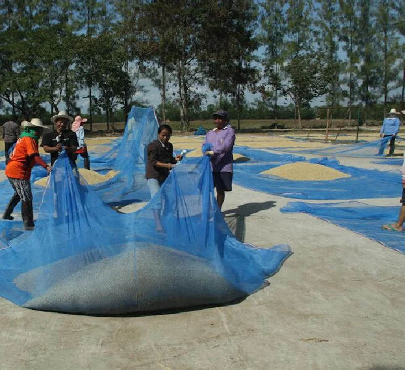 16 Mesh Blue Nylon Net for Agriculture