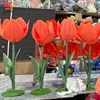 สีส้ม